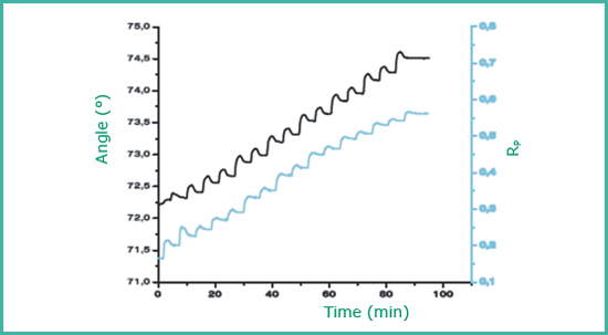 SPR-Graph