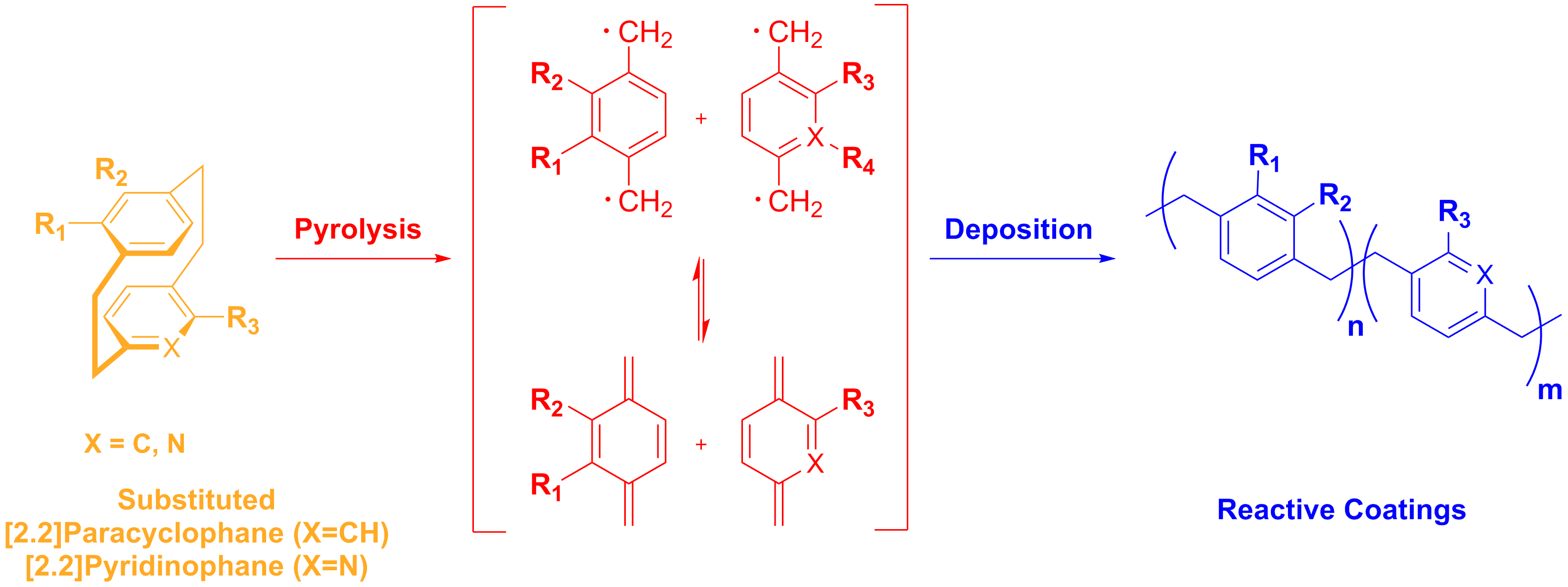 KIT - Departm. - Advanced Polymers and Biomaterials