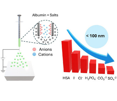 Diagram showing albumin and salt interaction with ions and size distribution under 100 nm.