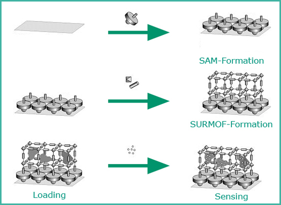 SURMOF Assembly