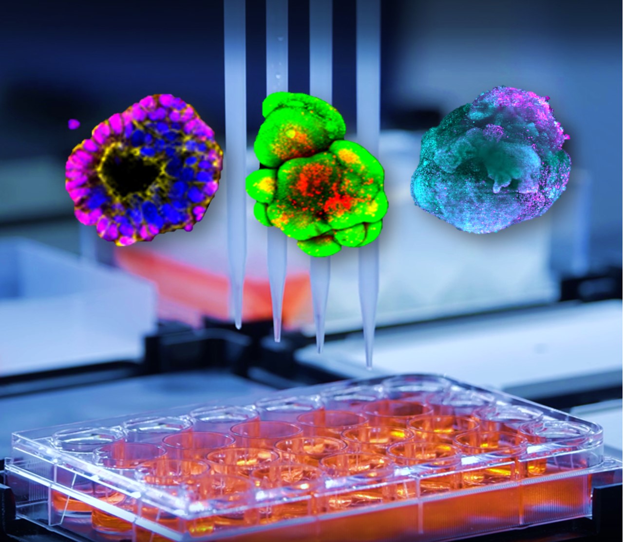 Schepers Research