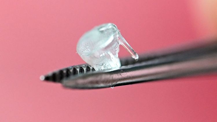 Close-up of a tiny transparent medical implant held by tweezers against a pink background.