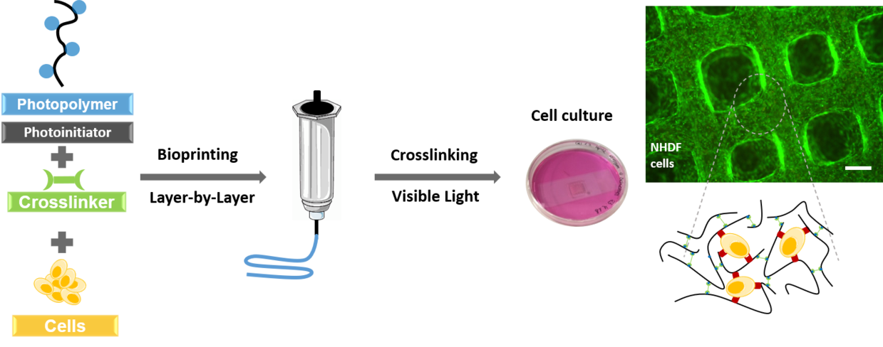 Biotinten