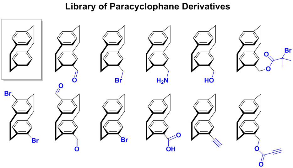 KIT - Departm. - Advanced Polymers and Biomaterials