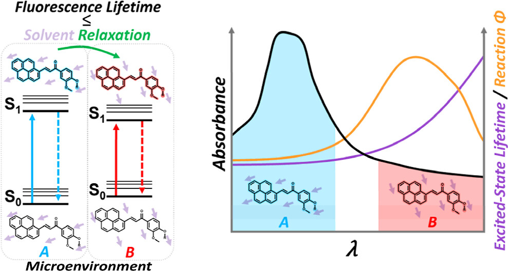 ALT: Diagram showing fluorescence lifetime, solvent relaxation, and absorbance spectra of two molecular microenvironments A and B.