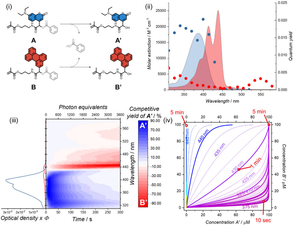 (i) Chemical structures of compounds A and B and their photoreactions; (ii) absorption and quantum yield spectra; (iii) heatmap of yield vs wavelength and time; (iv) concentration profiles of products A' and B' over time at various wavelengths.